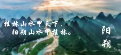植物大战僵尸5