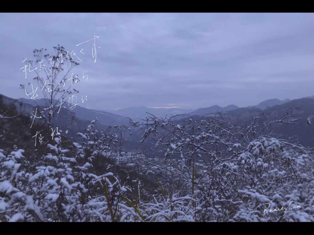 人类：一败涂地