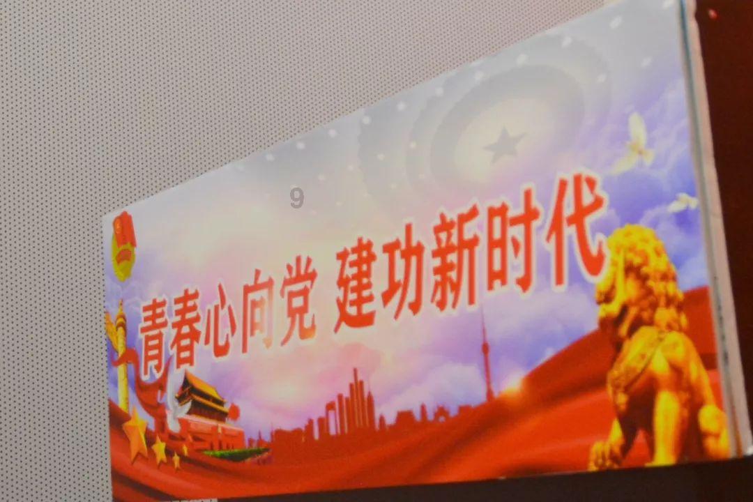 探索知识星球平台 - 圣思维丝冻干粉效果好吗?专属学习社区
