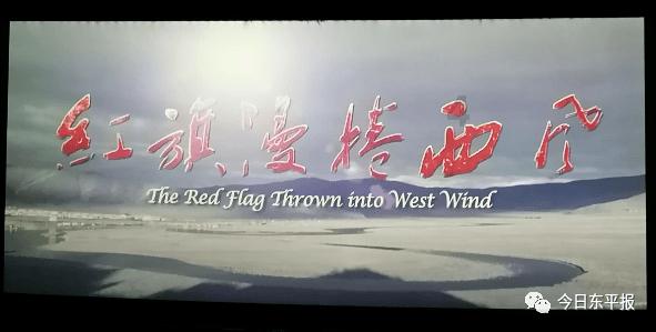 脑洞小老弟无实名认证