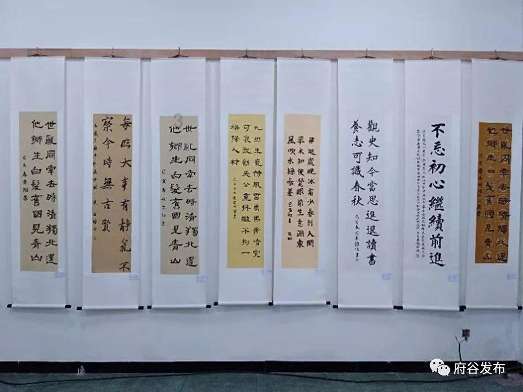 迷你淘气猪逃脱