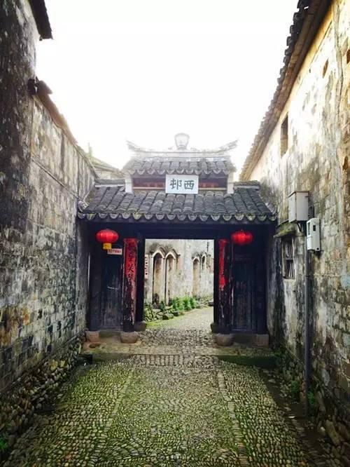 如何挑选古树茶？各方面都得懂才不会上当！